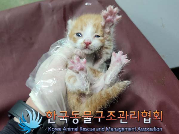 종료(자연사) 한국…